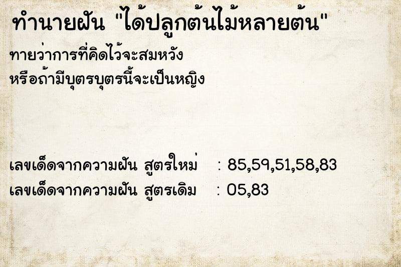 ทำนายฝันได้ปลูกต้นไม้หลายต้น ทำนายฝันทำนายฝันได้ปลูกต้นไม้หลายต้น