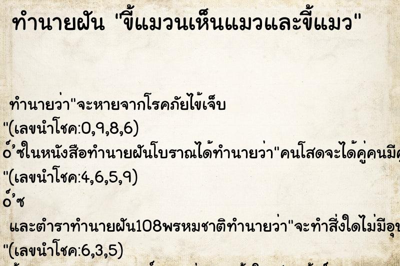 ทำนายฝันขี้แมวนเห็นแมวและขี้แมว ทำนายฝันทำนายฝันขี้แมวนเห็นแมวและขี้แมว
