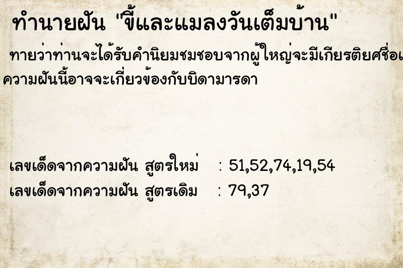 ทำนายฝันขี้และแมลงวันเต็มบ้าน ทำนายฝันทำนายฝันขี้และแมลงวันเต็มบ้าน