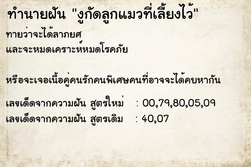 ทำนายฝันทำนายฝันงูกัดลูกแมวที่เลี้ยงไว้