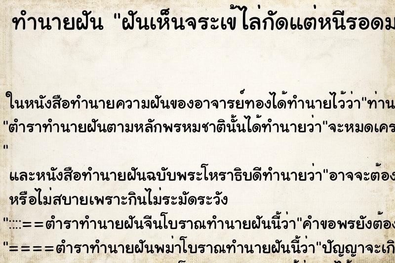 ทำนายฝันฝันเห็นจระเข้ไล่กัดแต่หนีรอดมาได้ ทำนายฝันทำนายฝันฝันเห็นจระเข้ไล่กัดแต่หนีรอดมาได้