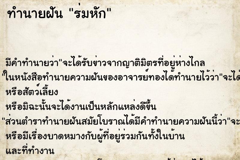 ทำนายฝัน ร่มหัก ตำราโบราณ แม่นที่สุดในโลก