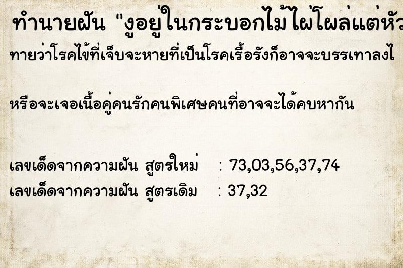 ทำนายฝันงูอยู่ในกระบอกไม้ไผ่โผล่แต่หัวออกมา ทำนายฝันทำนายฝันงูอยู่ในกระบอกไม้ไผ่โผล่แต่หัวออกมา