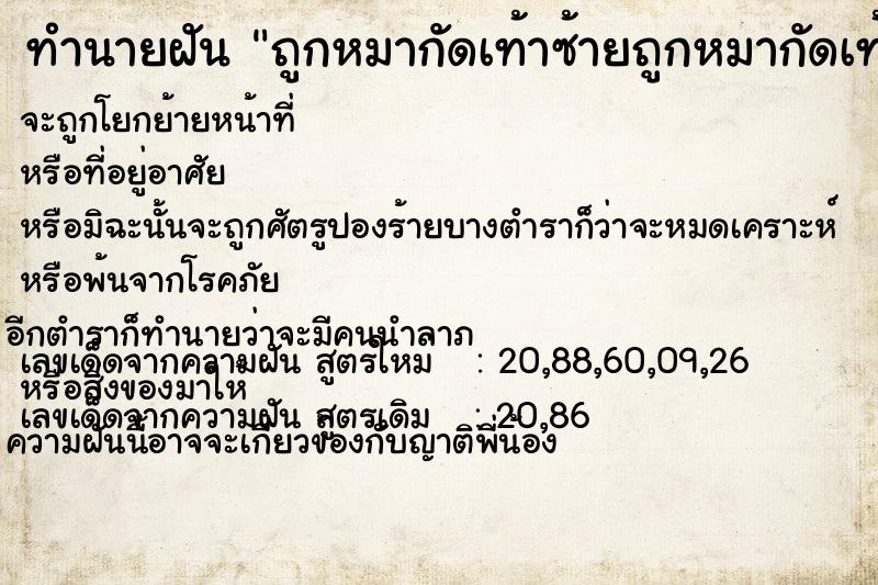 ทำนายฝันถูกหมากัดเท้าซ้ายถูกหมากัดเท้าซ้าย ทำนายฝันทำนายฝันถูกหมากัดเท้าซ้ายถูกหมากัดเท้าซ้าย