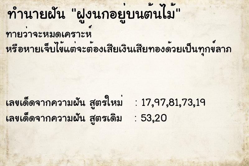 ทำนายฝันฝูงนกอยู่บนต้นไม้ ทำนายฝันทำนายฝันฝูงนกอยู่บนต้นไม้