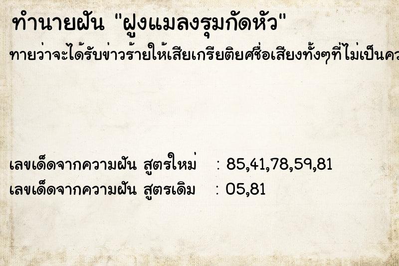 ทำนายฝันทำนายฝันฝูงแมลงรุมกัดหัว