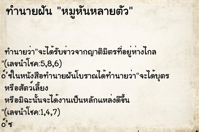 ทำนายฝัน หมูหันหลายตัว ทำนายฝัน หมูหันหลายตัว