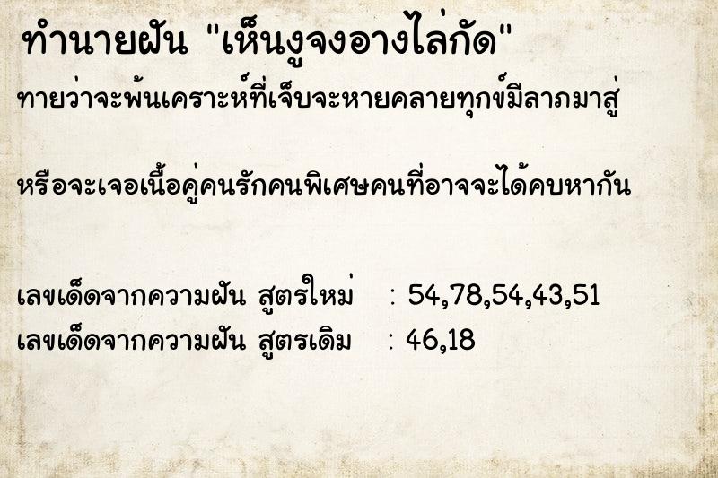 ทำนายฝัน เห็นงูจงอางไล่กัด ทำนายฝัน เห็นงูจงอางไล่กัด