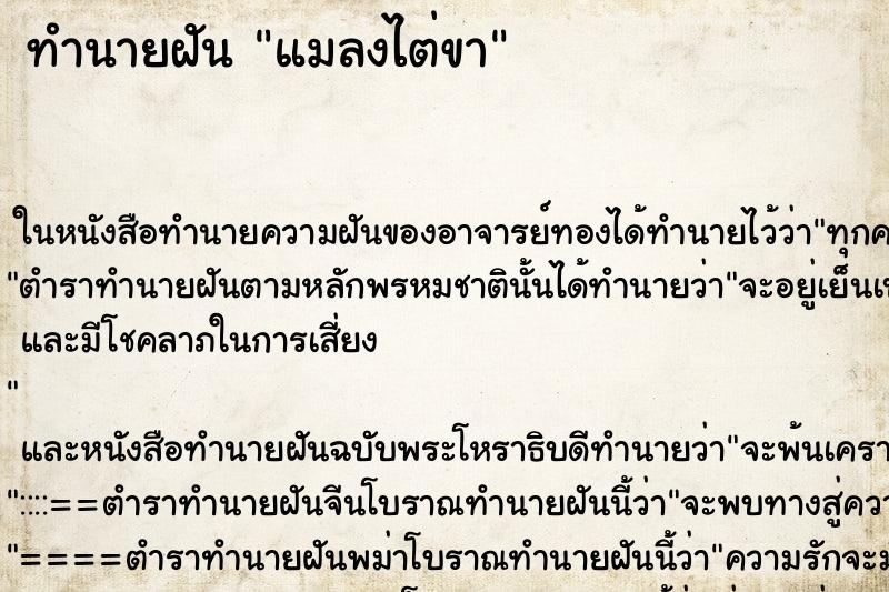 ทำนายฝัน แมลงไต่ขา ทำนายฝัน แมลงไต่ขา