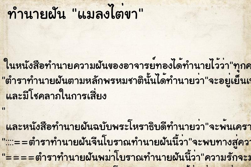 ทำนายฝัน แมลงไต่ขา ตำราโบราณ แม่นที่สุดในโลก