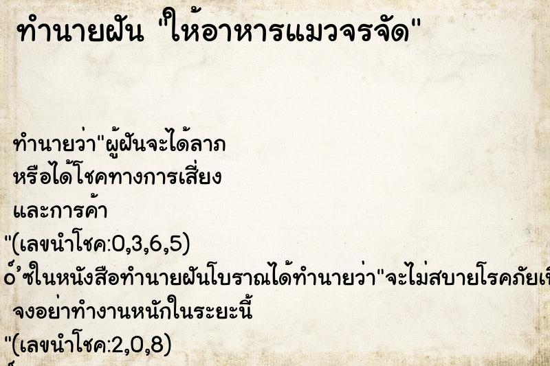 ทำนายฝันทำนายฝันให้อาหารแมวจรจัด