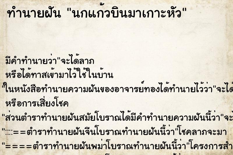 ทำนายฝัน นกแก้วบินมาเกาะหัว