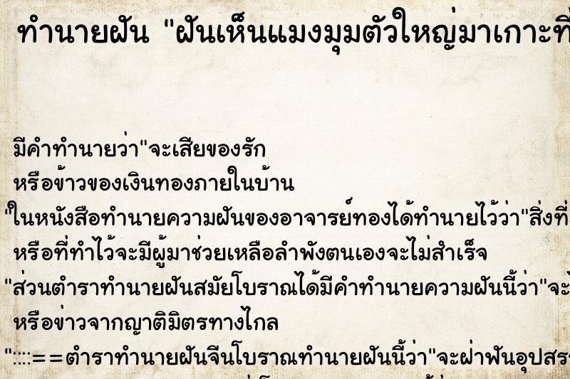 ทำนายฝัน ฝันเห็นแมงมุมตัวใหญ่มาเกาะที่ตัว ตำราโบราณ แม่นที่สุดในโลก