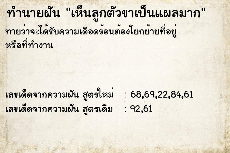 ทำนายฝันเห็นลูกตัวขาเป็นแผลมาก ทำนายฝันทำนายฝันเห็นลูกตัวขาเป็นแผลมาก