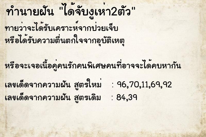 ทำนายฝันได้จับงูเห่า2ตัว ทำนายฝันทำนายฝันได้จับงูเห่า2ตัว