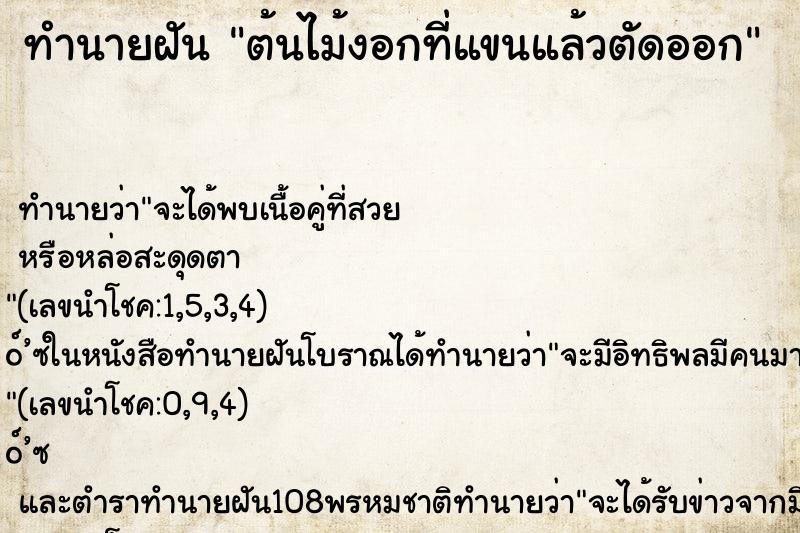 ทำนายฝันต้นไม้งอกที่แขนแล้วตัดออก ทำนายฝันทำนายฝันต้นไม้งอกที่แขนแล้วตัดออก