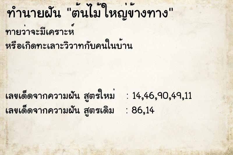 ทำนายฝันต้นไม้ใหญ่ข้างทาง ทำนายฝันทำนายฝันต้นไม้ใหญ่ข้างทาง
