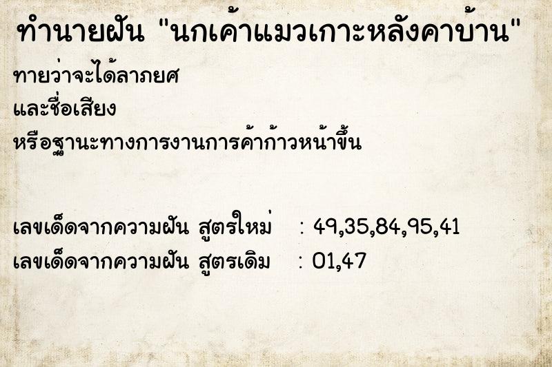ทำนายฝันทำนายฝันนกเค้าแมวเกาะหลังคาบ้าน