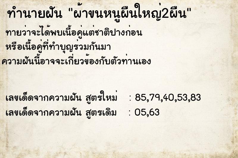 ทำนายฝันผ้าขนหนูผืนใหญ่2ผืน ทำนายฝันทำนายฝันผ้าขนหนูผืนใหญ่2ผืน