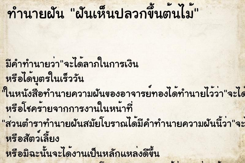 ทำนายฝัน ฝันเห็นปลวกขึ้นต้นไม้ ตำราโบราณ แม่นที่สุดในโลก