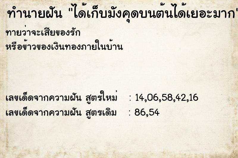 ทำนายฝันได้เก็บมังคุดบนต้นได้เยอะมาก ทำนายฝันทำนายฝันได้เก็บมังคุดบนต้นได้เยอะมาก