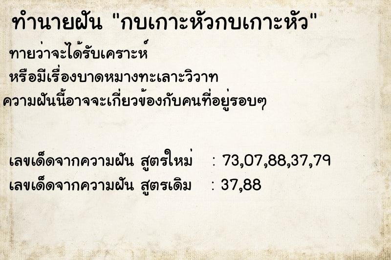 ทำนายฝัน กบเกาะหัวกบเกาะหัว ทำนายฝัน กบเกาะหัวกบเกาะหัว