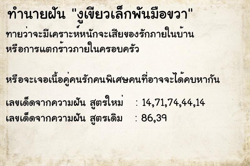 ทำนายฝันงูเขียวเล็กพันมือขวา ทำนายฝันทำนายฝันงูเขียวเล็กพันมือขวา