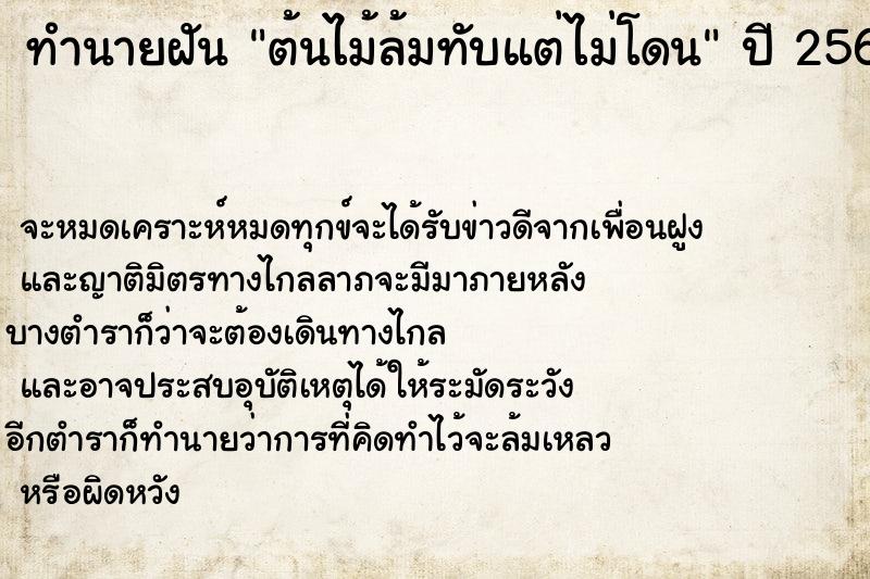 ทำนายฝันต้นไม้ล้มทับแต่ไม่โดน ทำนายฝันทำนายฝันต้นไม้ล้มทับแต่ไม่โดน