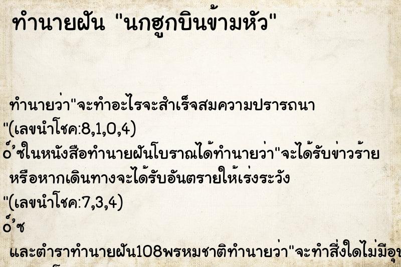 ทำนายฝันทำนายฝันนกฮูกบินข้ามหัว