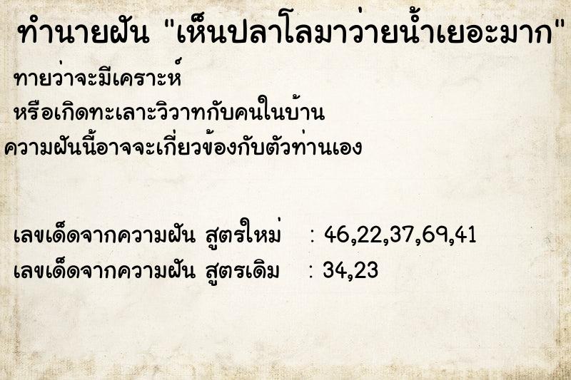 ทำนายฝันเห็นปลาโลมาว่ายน้ำเยอะมาก ทำนายฝันทำนายฝันเห็นปลาโลมาว่ายน้ำเยอะมาก