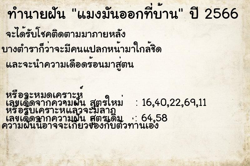 ทำนายฝัน แมงมันออกที่บ้าน ทำนายฝัน แมงมันออกที่บ้าน