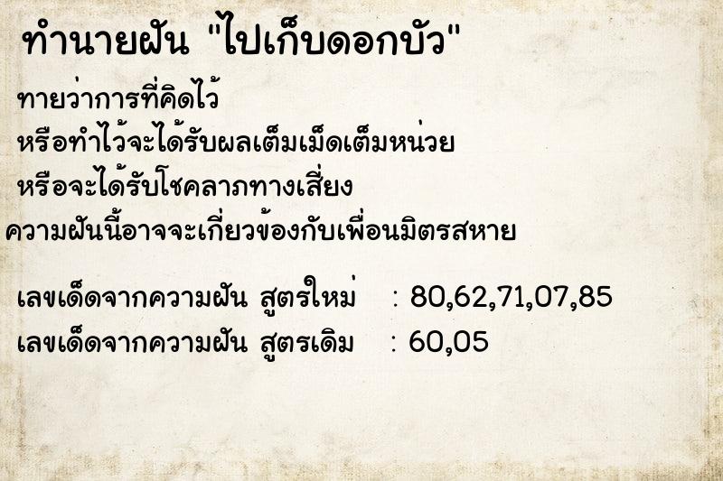 ทำนายฝัน ไปเก็บดอกบัว