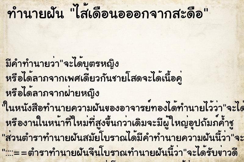 ทำนายฝัน ไส้เดือนอออกจากสะดือ ตำราโบราณ แม่นที่สุดในโลก