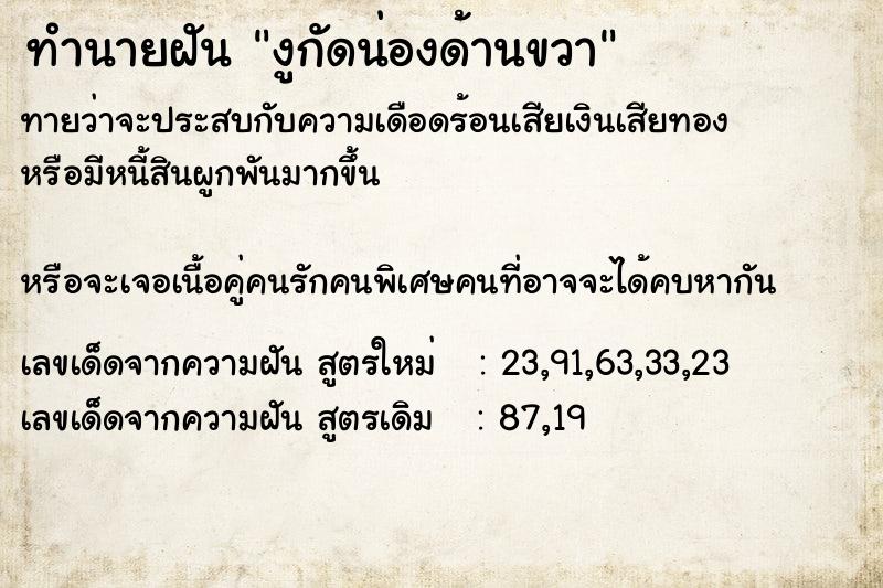 ทำนายฝันงูกัดน่องด้านขวา ทำนายฝันทำนายฝันงูกัดน่องด้านขวา