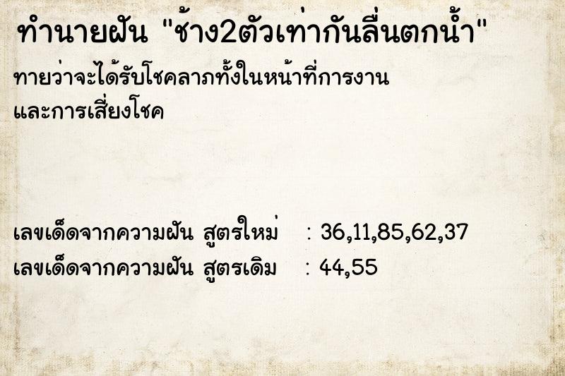 ทำนายฝันช้าง2ตัวเท่ากันลื่นตกน้ำ ทำนายฝันทำนายฝันช้าง2ตัวเท่ากันลื่นตกน้ำ