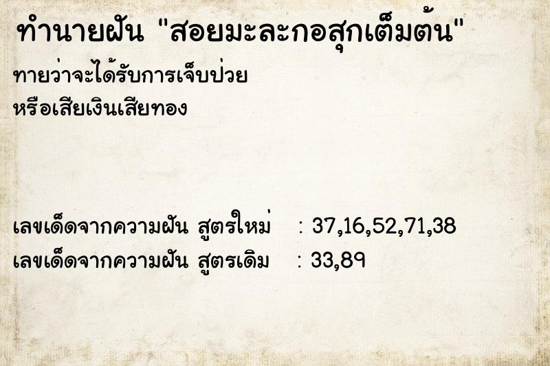 ทำนายฝันทำนายฝันสอยมะละกอสุกเต็มต้น