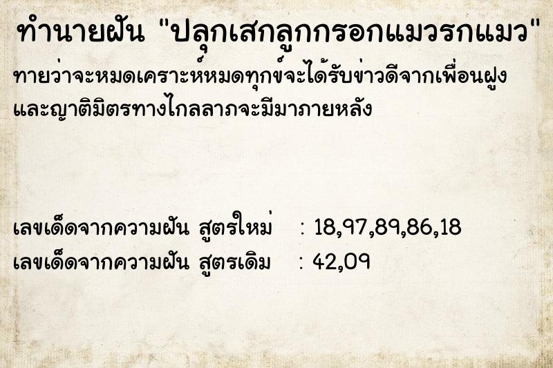 ทำนายฝันปลุกเสกลูกกรอกแมวรกแมว ทำนายฝันทำนายฝันปลุกเสกลูกกรอกแมวรกแมว