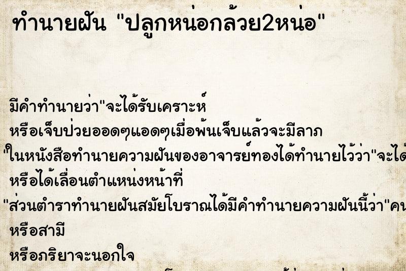 ทำนายฝัน ปลูกหน่อกล้วย2หน่อ ทำนายฝัน ปลูกหน่อกล้วย2หน่อ