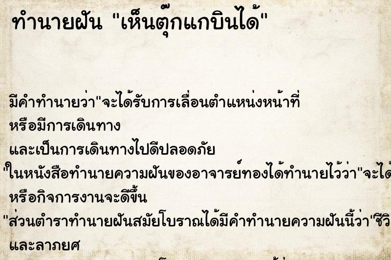 ทำนายฝัน เห็นตุ๊กแกบินได้ ตำราโบราณ แม่นที่สุดในโลก