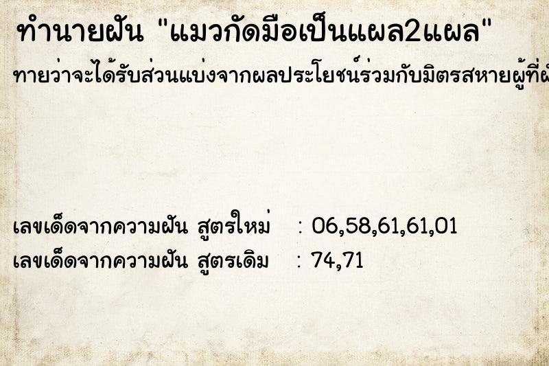 ทำนายฝันแมวกัดมือเป็นแผล2แผล ทำนายฝันทำนายฝันแมวกัดมือเป็นแผล2แผล