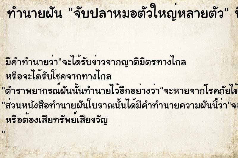 ทำนายฝัน จับปลาหมอตัวใหญ่หลายตัว ทำนายฝัน จับปลาหมอตัวใหญ่หลายตัว