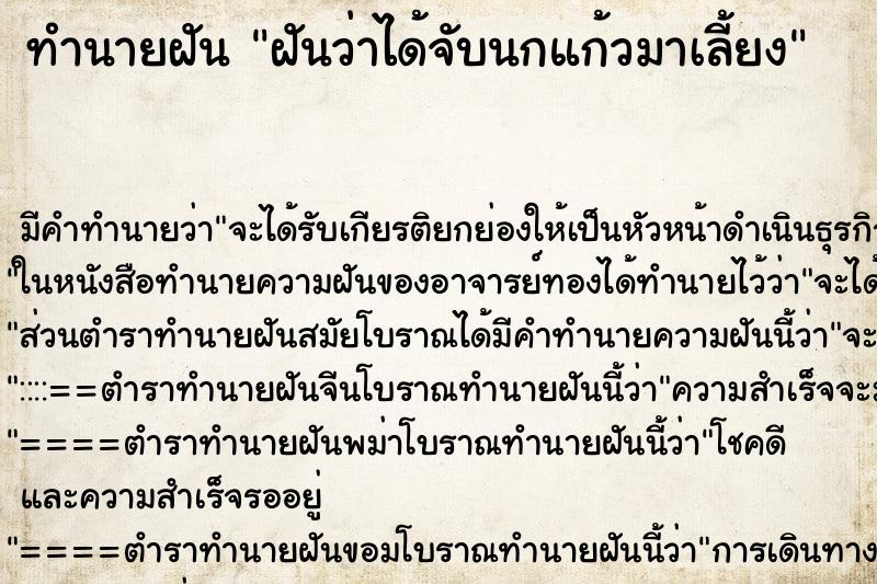 ทำนายฝัน ฝันว่าได้จับนกแก้วมาเลี้ยง ทำนายฝัน ฝันว่าได้จับนกแก้วมาเลี้ยง