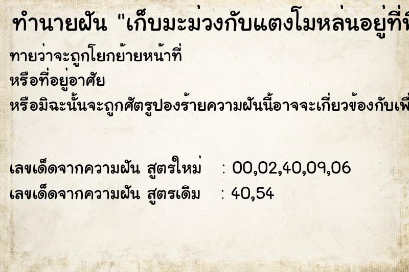 ทำนายฝันทำนายฝันเก็บมะม่วงกับแตงโมหล่นอยู่ที่พื้นดิน