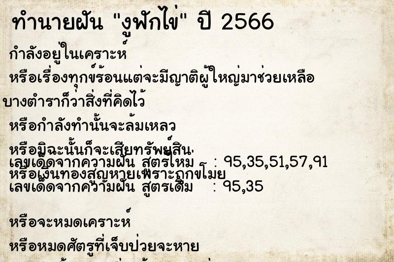 ทำนายฝัน งูฟักไข่ ทำนายฝัน งูฟักไข่