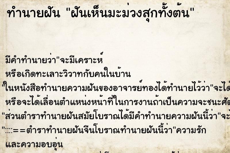 ทำนายฝันฝันเห็นมะม่วงสุกทั้งต้น ทำนายฝันทำนายฝันฝันเห็นมะม่วงสุกทั้งต้น