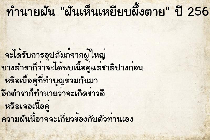 ทำนายฝันทำนายฝันฝันเห็นเหยียบผึ้งตาย