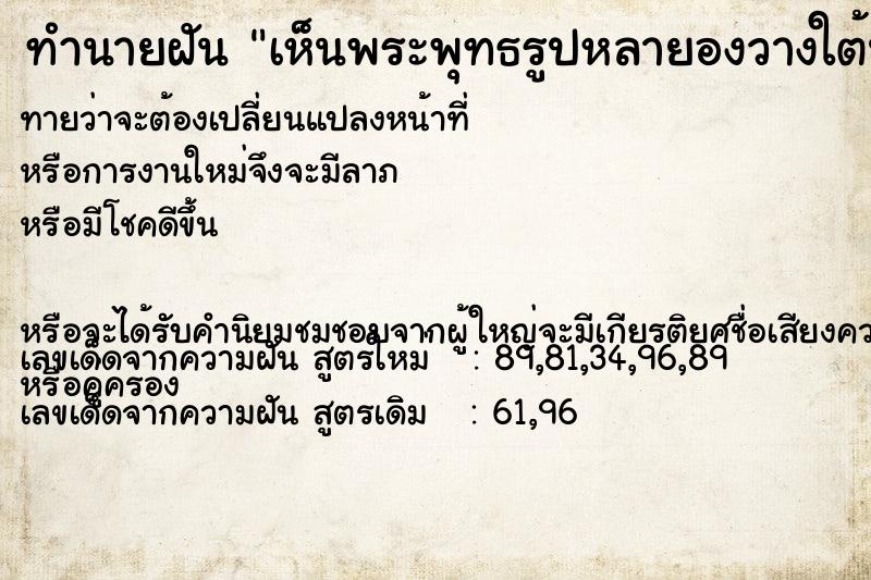 ทำนายฝันเห็นพระพุทธรูปหลายองวางใต้นไม้ ทำนายฝันทำนายฝันเห็นพระพุทธรูปหลายองวางใต้นไม้