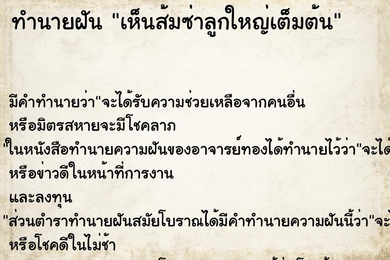 ทำนายฝัน เห็นส้มซ่าลูกใหญ่เต็มต้น ทำนายฝัน เห็นส้มซ่าลูกใหญ่เต็มต้น