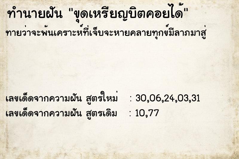 ทำนายฝัน ขุดเหรียญบิตคอยได้ ทำนายฝัน ขุดเหรียญบิตคอยได้