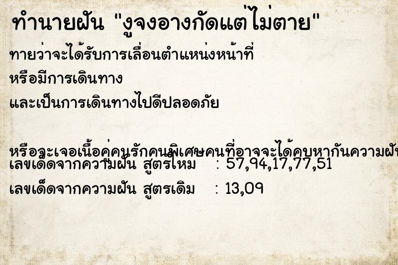 ทำนายฝันงูจงอางกัดแต่ไม่ตาย ทำนายฝันทำนายฝันงูจงอางกัดแต่ไม่ตาย